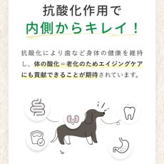 画像9: 最短賞味2027.6・シルクフル 犬用 Cozy Milk コージーミルク甘酒 簡易ラベル品 nnw06043b (9)
