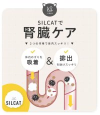画像4: NEW 最短賞味2026.1・SILCAT シルクフル 猫用シルキャット 30包入 腎臓 腸内ケアサプリメント nnw10024 (4)