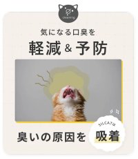 画像5: NEW 最短賞味2026.1・SILCAT シルクフル 猫用シルキャット 30包入 腎臓 腸内ケアサプリメント nnw10024 (5)
