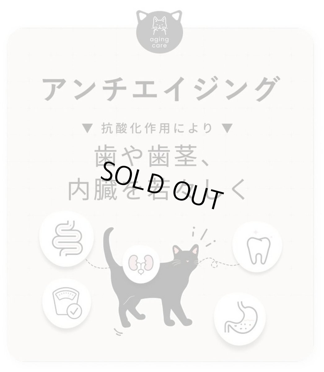 画像6: 最短賞味2027.8・SILCAT シルクフル 猫用シルキャット 30包入 腎臓 腸内ケアサプリメント nnw10024 (6)