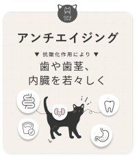 画像6: NEW 最短賞味2026.1・SILCAT シルクフル 猫用シルキャット 30包入 腎臓 腸内ケアサプリメント nnw10024 (6)