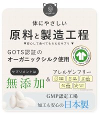 画像9: NEW 最短賞味2026.1・SILCAT シルクフル 猫用シルキャット 30包入 腎臓 腸内ケアサプリメント nnw10024 (9)