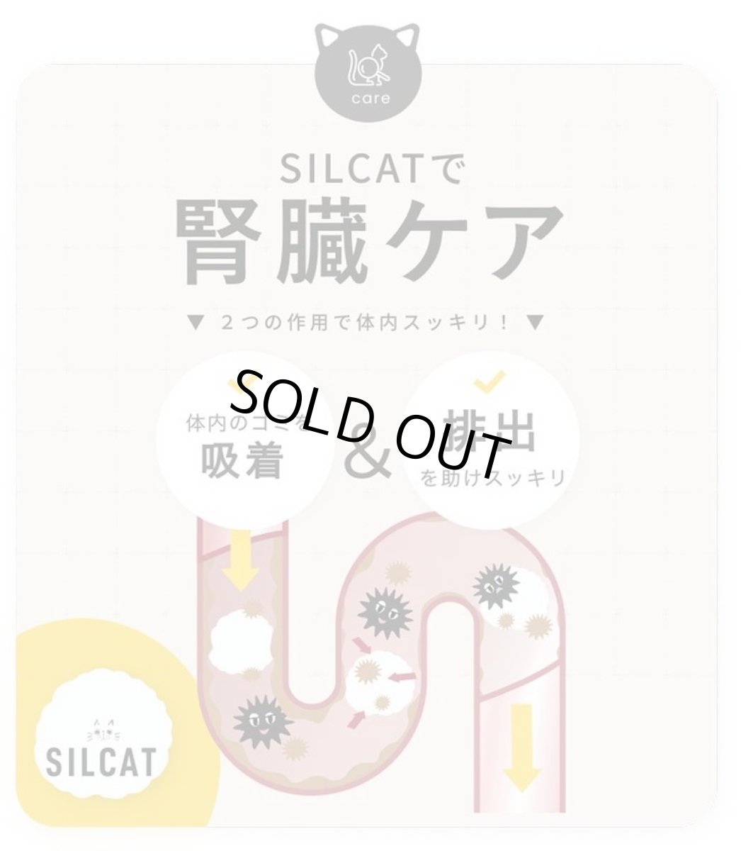 画像4: 最短賞味2027.5・SILCAT シルクフル 猫用シルキャット 7包入 腎臓 腸内ケアサプリメント nnw10031 (4)