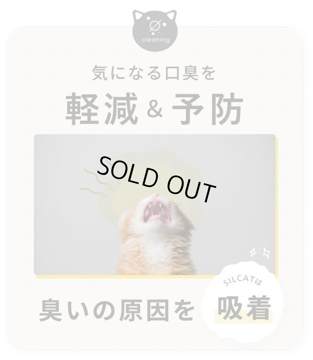 画像5: 最短賞味2027.5・SILCAT シルクフル 猫用シルキャット 7包入 腎臓 腸内ケアサプリメント nnw10031 (5)