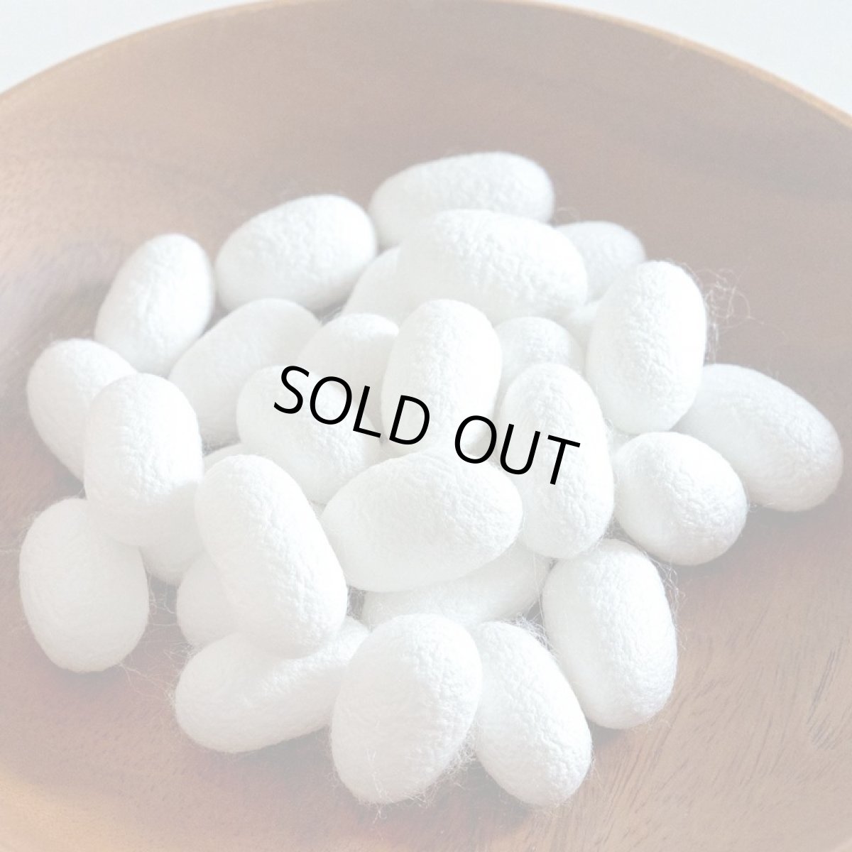 画像11: 最短賞味2027.5・SILKUFLL シルクフル 犬用 30包入 腎臓 腸内ケアサプリメント nnw10048 (11)