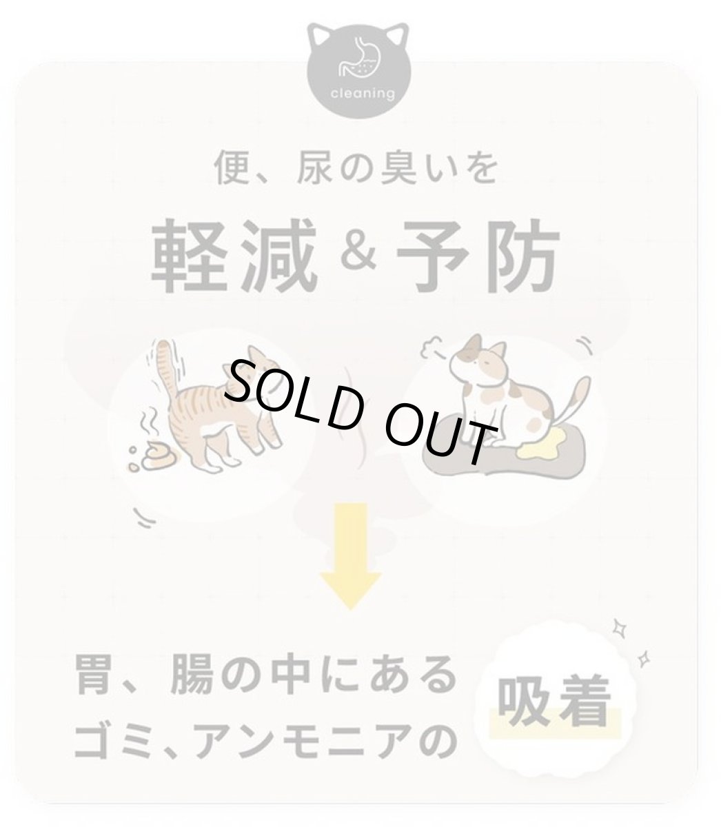 画像4: 最短賞味2027.5・SILKUFLL シルクフル 犬用 30包入 腎臓 腸内ケアサプリメント nnw10048 (4)