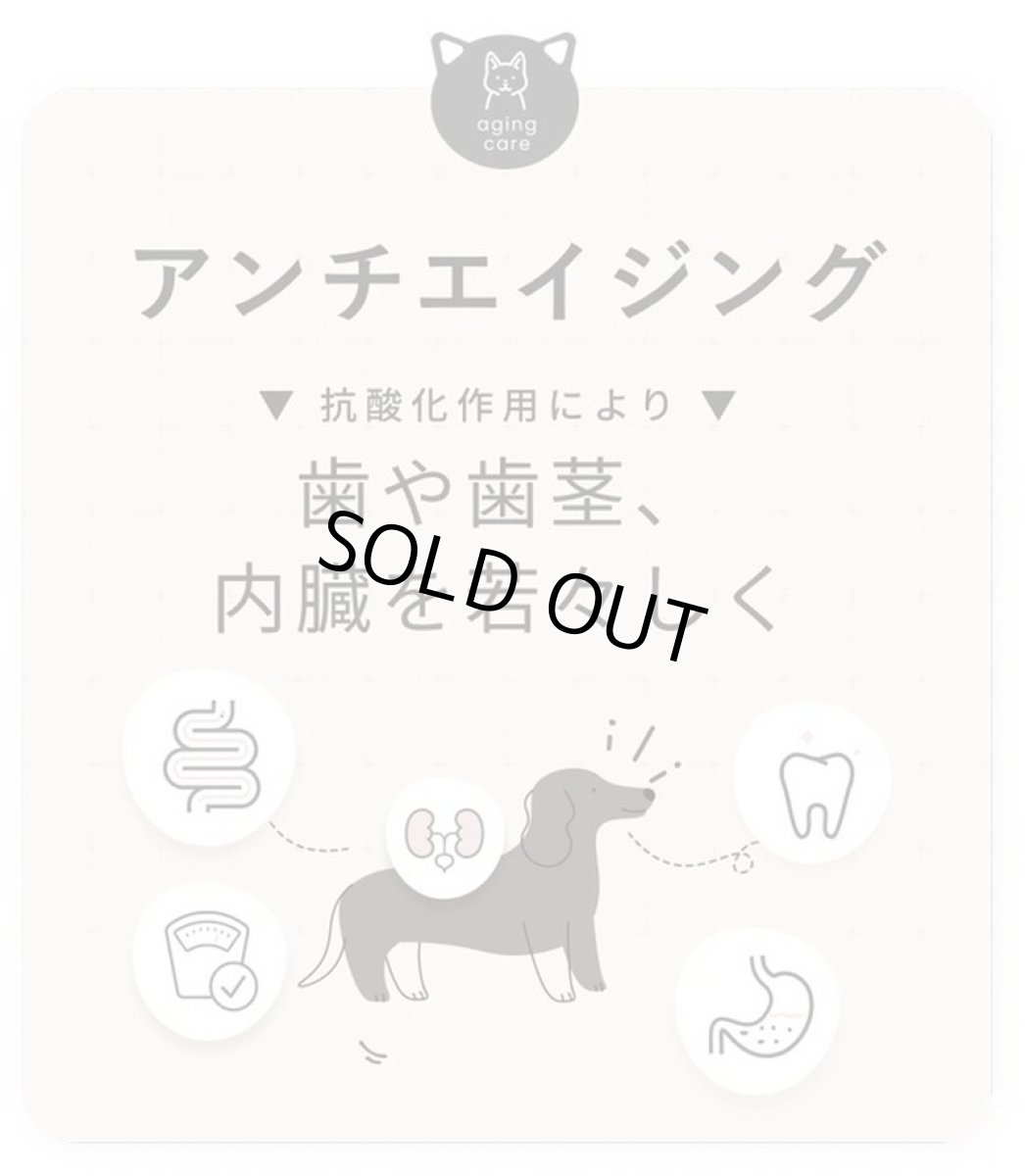 画像6: 最短賞味2027.5・SILKUFLL シルクフル 犬用 30包入 腎臓 腸内ケアサプリメント nnw10048 (6)