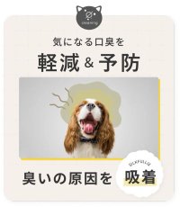 画像3: NEW 最短賞味2026.1・SILKFULL シルクフル 犬用 7包入 腎臓 腸内ケアサプリメント nnw10055 (3)