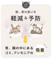 画像4: NEW 最短賞味2026.1・SILKFULL シルクフル 犬用 7包入 腎臓 腸内ケアサプリメント nnw10055 (4)