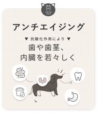 画像6: NEW 最短賞味2026.1・SILKFULL シルクフル 犬用 7包入 腎臓 腸内ケアサプリメント nnw10055 (6)