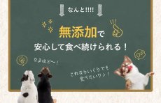 画像11: NEW 最短賞味2026.2・SILKFULL シルクフル 犬ウェットフード ビーフ味 100g 犬用一般食ウェット 腎臓 腸内ケア nnw10123 (11)
