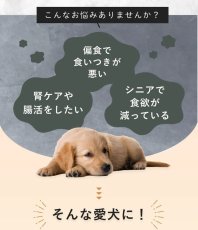 画像4: NEW 最短賞味2026.2・SILKFULL シルクフル 犬ウェットフード ビーフ味 100g 犬用一般食ウェット 腎臓 腸内ケア nnw10123 (4)