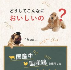 画像9: NEW 最短賞味2026.2・SILKFULL シルクフル 犬ウェットフード ビーフ味 100g 犬用一般食ウェット 腎臓 腸内ケア nnw10123 (9)