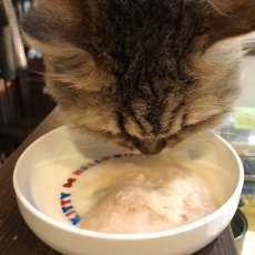 画像2: NEW 最短賞味2027.4・SILKFLL シルクフル プレミアムウェットフード チキン味 35g 猫用ウェット 腎臓 腸内ケア nnw10178 (2)