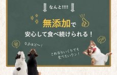 画像9: NEW 最短賞味2027.4・SILKFLL シルクフル 猫プレミアムウェットフード チキン味 35g×12個セット 猫用一般食ウェット 腎臓 腸内ケア nnw10215 (9)