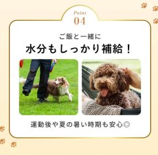 画像11: NEW 最短賞味2027.12・SILKFULL シルクフル 犬ウェットフード シカ味 100g 犬用一般食ウェット 腎臓 腸内ケア nnw10222 (11)