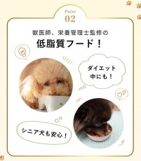 画像9: NEW 最短賞味2027.12・SILKFULL シルクフル 犬ウェットフード タラ味 100g 犬用一般食ウェット 腎臓 腸内ケア nnw10239 (9)