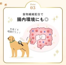 画像10: NEW 最短賞味2027.12・SILKFULL シルクフル 犬ウェットフード シカ味 100g×12個セット 犬用一般食ウェット 腎臓 腸内ケア nnw10246 (10)