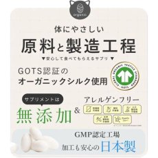 画像7: NEW 最短賞味2028.3・SILCAT シルキャット 猫プレミアムウェットフード カツオ味 35g 猫用一般食ウェット 腎臓 腸内ケア nnw10284 (7)