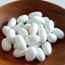 画像10: NEW 最短賞味2028.3・SILCAT シルキャット 猫プレミアムウェットフード カツオ味 35g 猫用一般食ウェット 腎臓 腸内ケア nnw10284 (10)