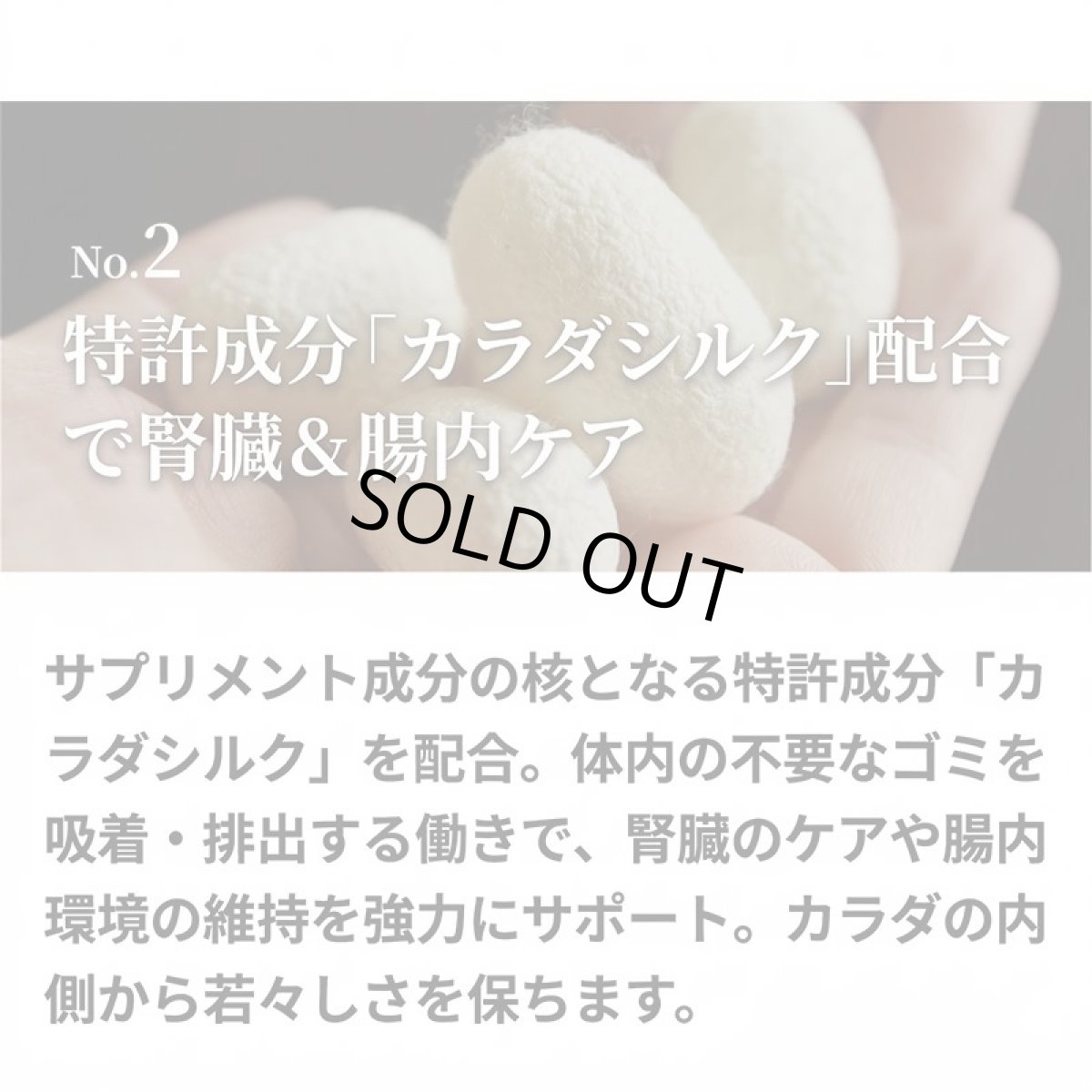 画像6: NEW 最短賞味2027.2・シルクフル 犬用サプリおやつ 皮膚被毛ケア【クランベリー】30g/nnw10338 (6)