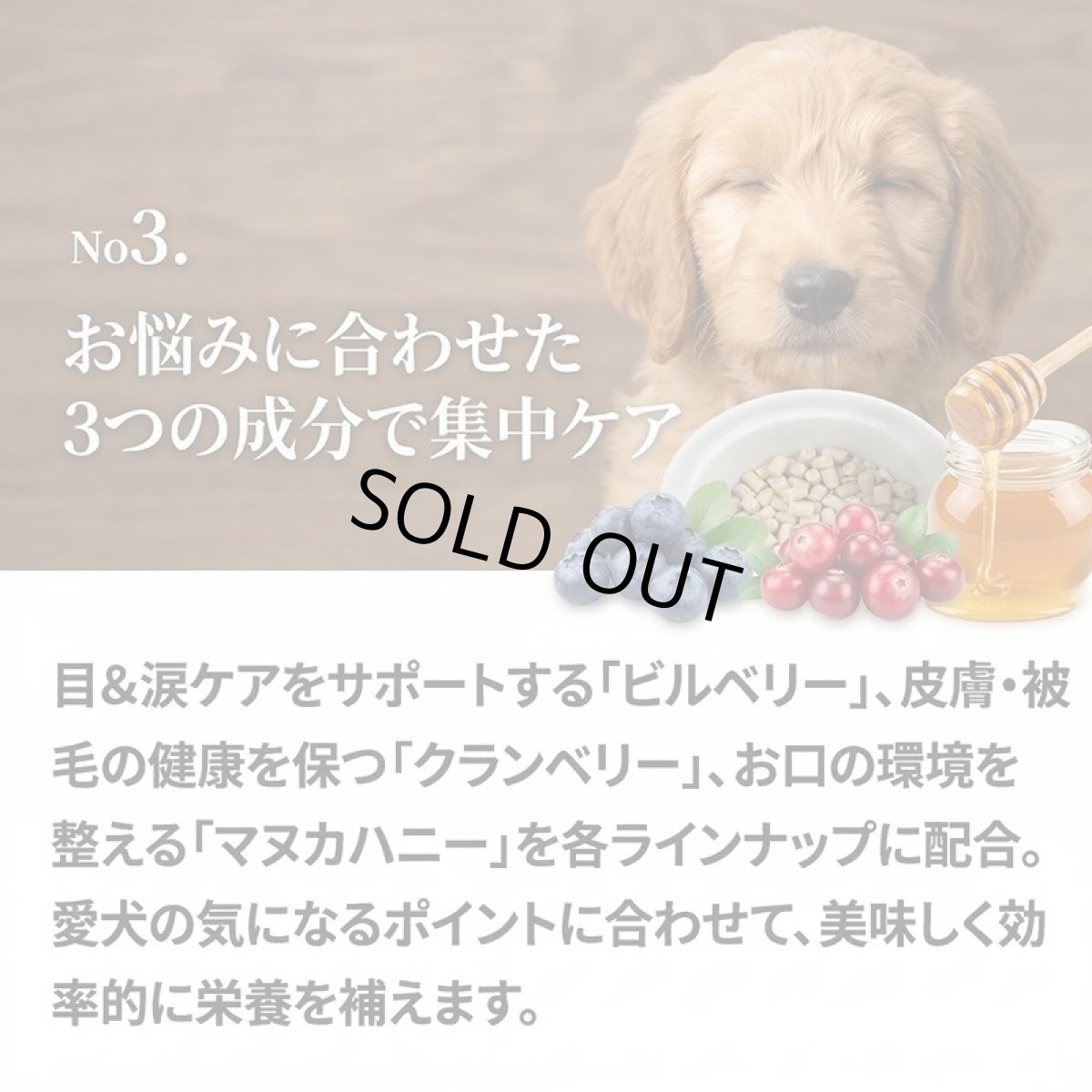 画像7: NEW 最短賞味2027.2・シルクフル 犬用サプリおやつ 皮膚被毛ケア【クランベリー】30g/nnw10338 (7)