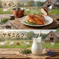 画像6: NEW 最短賞味2027.9・SILCAT シルキャット 猫用しるるんピューレ チキン10g✕4本 猫用一般食ウェット 腎臓 腸内ケア nnw10451 (6)