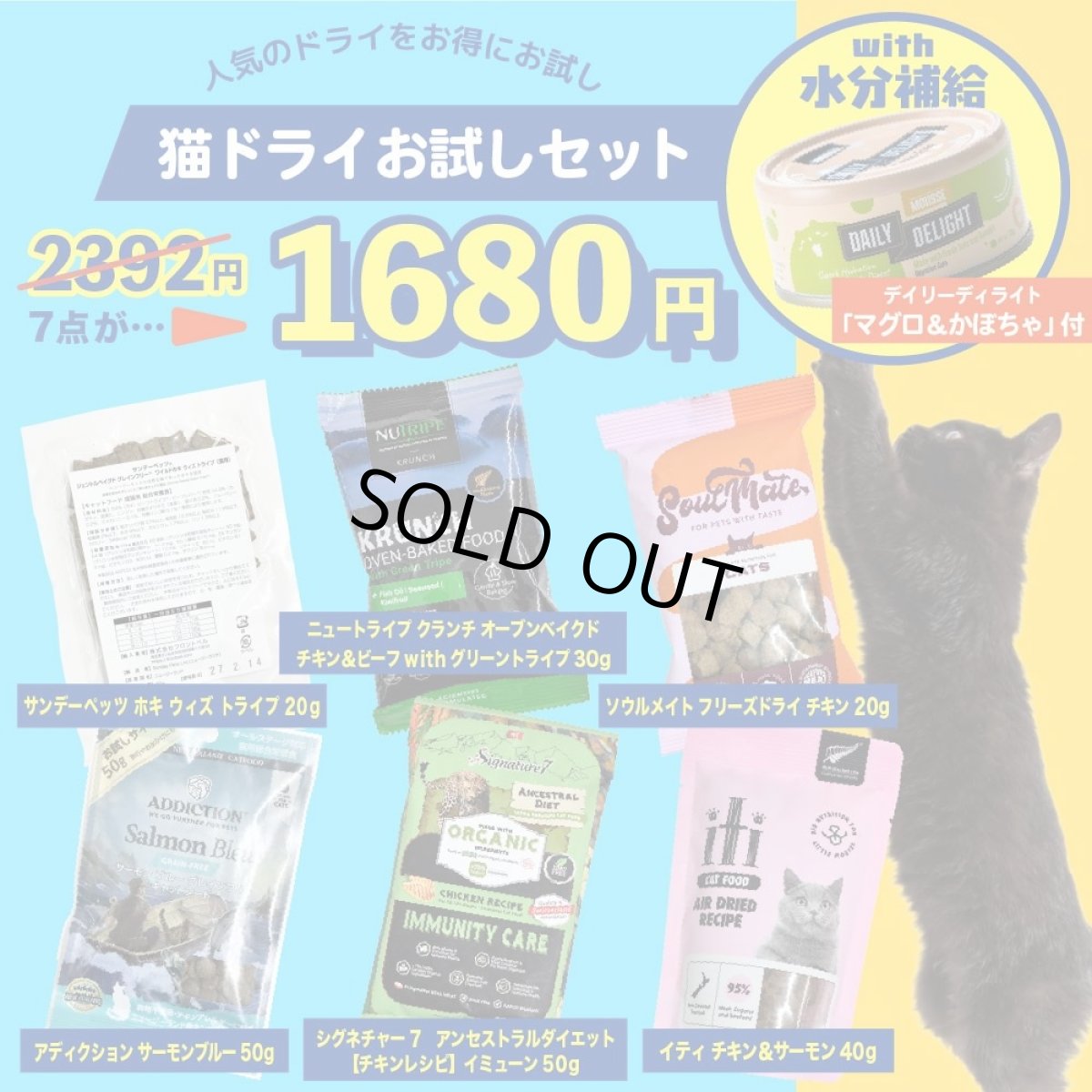 画像1: NEW 最短賞味2026.12・なちゅのごはん 猫用ドライお試し＆水分補給セット！nset2608 数量限定SALE (1)