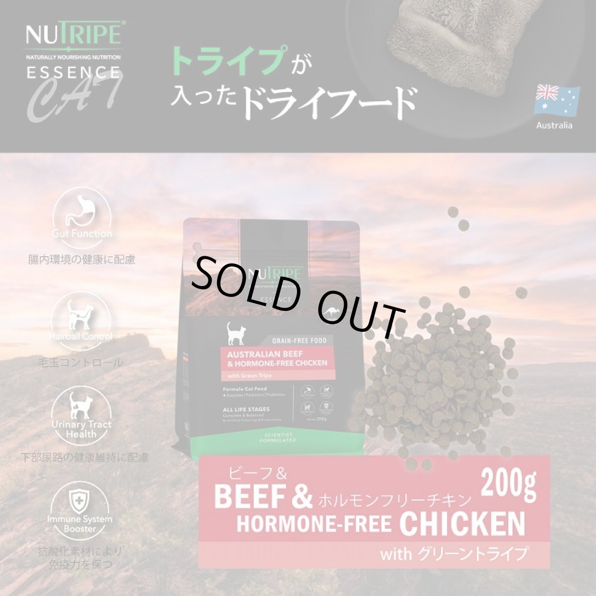画像2: 訳ありSALE/最短賞味2026.11・ニュートライプ 猫 ビーフ＆チキン 1kg(200g×5個)全年齢猫用グリーントライプ キャットフードnu03102 (2)