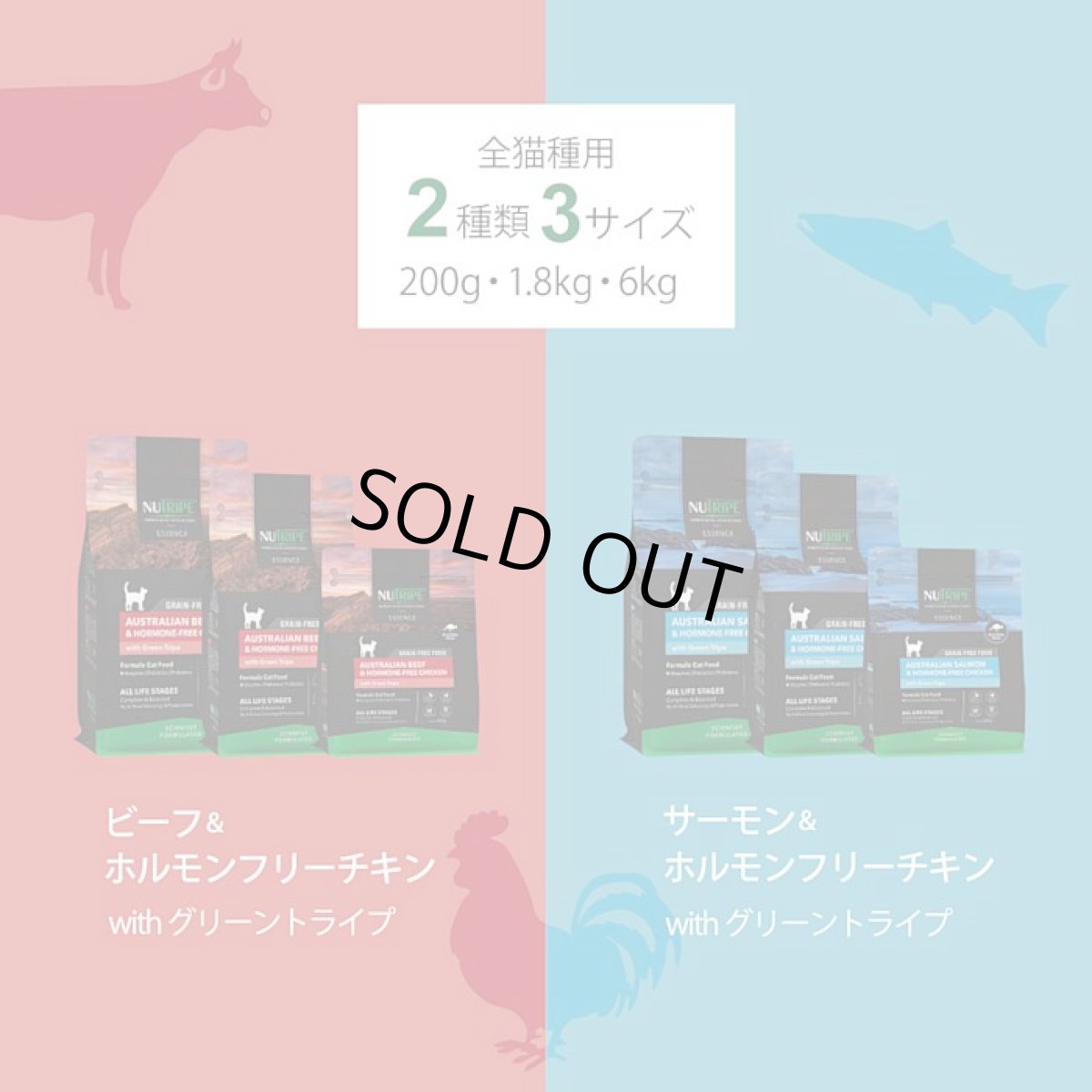 画像13: 訳ありSALE/最短賞味2026.11・ニュートライプ 猫 ビーフ＆チキン 1kg(200g×5個)全年齢猫用グリーントライプ キャットフードnu03102 (13)