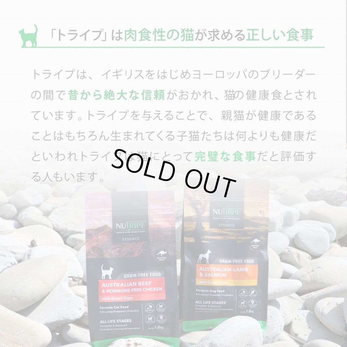画像8: 訳ありSALE/最短賞味2026.11・ニュートライプ 猫 ビーフ＆チキン 1kg(200g×5個)全年齢猫用グリーントライプ キャットフードnu03102 (8)