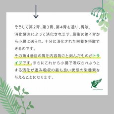 画像7: NEW 最短賞味2026.5・ニュートライプ 猫 サーモン＆チキン 600g(200g×3個)全年齢猫用グリーントライプ キャットフードnu03119 (7)