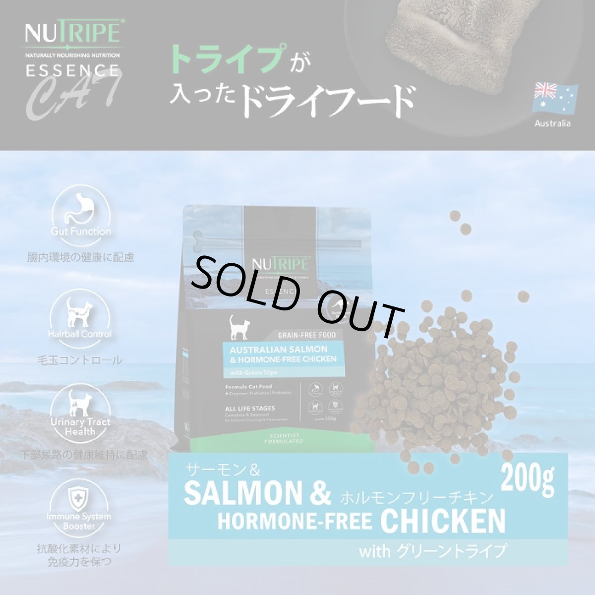 画像2: 最短賞味2026.11・ニュートライプ 猫 サーモン＆チキン 1kg(200g×5個)全年齢猫用グリーントライプ キャットフードnu03126 (2)
