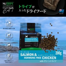 画像2: NEW 最短賞味2026.5・ニュートライプ 猫 サーモン＆チキン 1kg(200g×5個)全年齢猫用グリーントライプ キャットフードnu03126 (2)