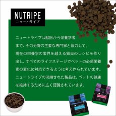 画像11: NEW 最短賞味2026.5・ニュートライプ 猫 サーモン＆チキン 1kg(200g×5個)全年齢猫用グリーントライプ キャットフードnu03126 (11)