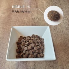 画像12: NEW 最短賞味2026.5・ニュートライプ 猫 サーモン＆チキン 1kg(200g×5個)全年齢猫用グリーントライプ キャットフードnu03126 (12)
