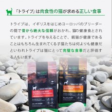 画像8: NEW 最短賞味2026.5・ニュートライプ 猫 サーモン＆チキン 1kg(200g×5個)全年齢猫用グリーントライプ キャットフードnu03126 (8)
