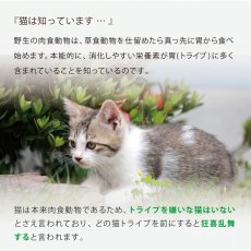 画像9: NEW 最短賞味2026.5・ニュートライプ 猫 サーモン＆チキン 1kg(200g×5個)全年齢猫用グリーントライプ キャットフードnu03126 (9)
