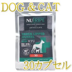 画像1: 最短賞味2026.11・ニュートライプ 犬 猫用・GLM サプリ 30粒 緑イ貝100%関節 軟骨 皮膚 被毛サプリメントNUTRIPE正規品nu03133 (1)