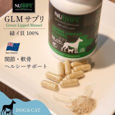 画像2: 最短賞味2026.11・ニュートライプ 犬 猫用・GLM サプリ 30粒 緑イ貝100%関節 軟骨 皮膚 被毛サプリメントNUTRIPE正規品nu03133 (2)