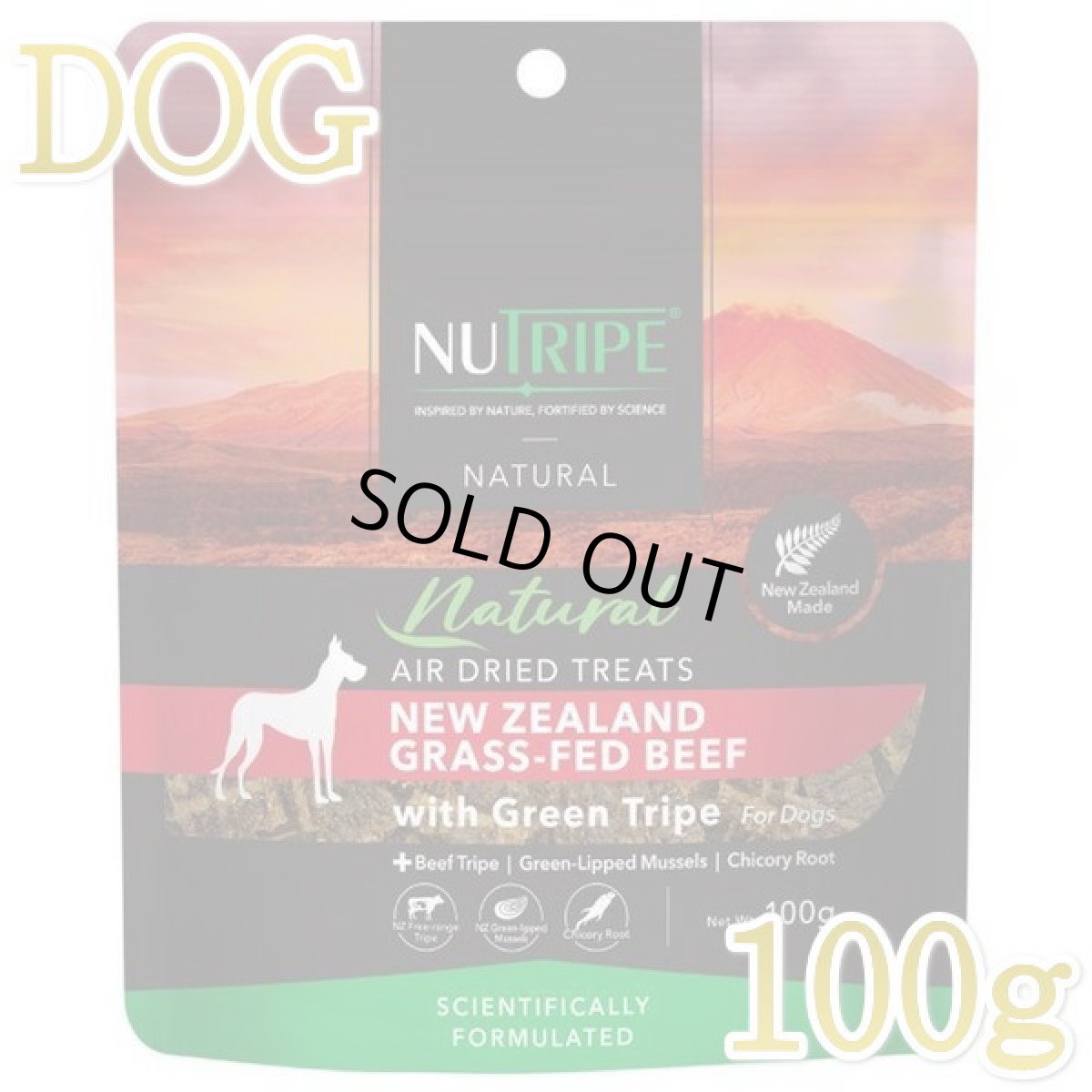 画像1: 最短賞味2026.6・ニュートライプ エアードライ トリーツ ビーフ100g犬用おやつ正規品nu32956 (1)