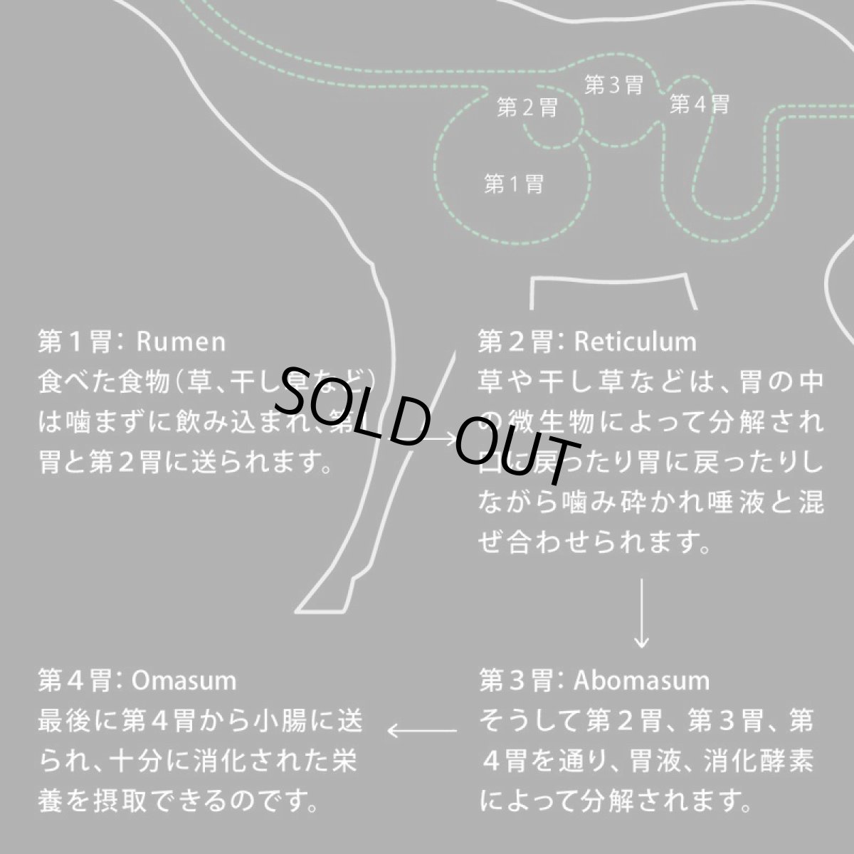 画像5: 最短賞味2026.6・ニュートライプ エアードライ トリーツ ビーフ100g犬用おやつ正規品nu32956 (5)