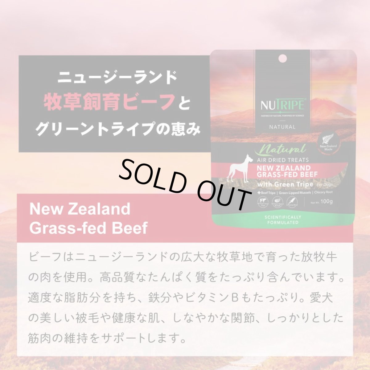 画像7: 最短賞味2026.6・ニュートライプ エアードライ トリーツ ビーフ100g犬用おやつ正規品nu32956 (7)