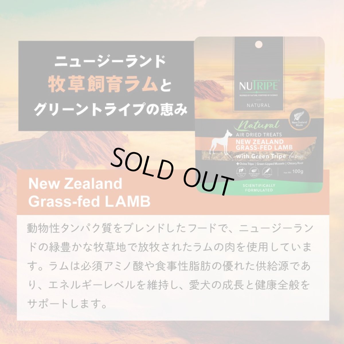 画像7: 最短賞味2026.6・ニュートライプ エアードライ トリーツ ラム100g犬用おやつ正規品nu32963 (7)
