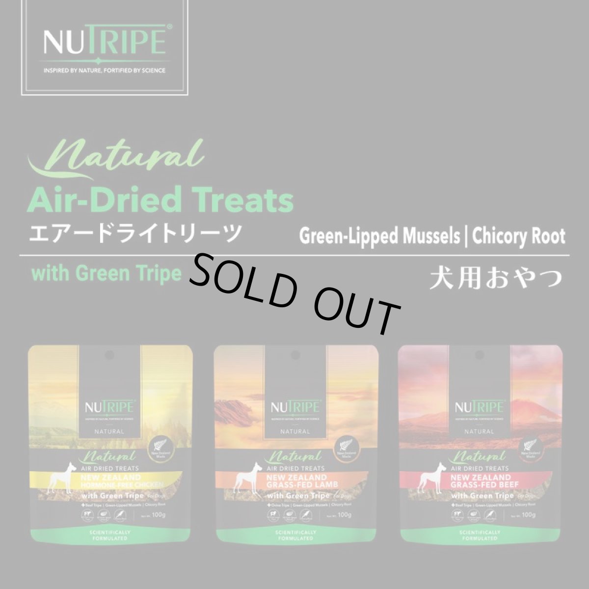 画像3: NEW 最短賞味2027.7・ニュートライプ エアードライ トリーツ チキン100g犬用おやつ正規品nu32970 (3)