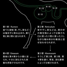 画像6: NEW 最短賞味2027.7・ニュートライプ エアードライ トリーツ チキン100g犬用おやつ正規品nu32970 (6)