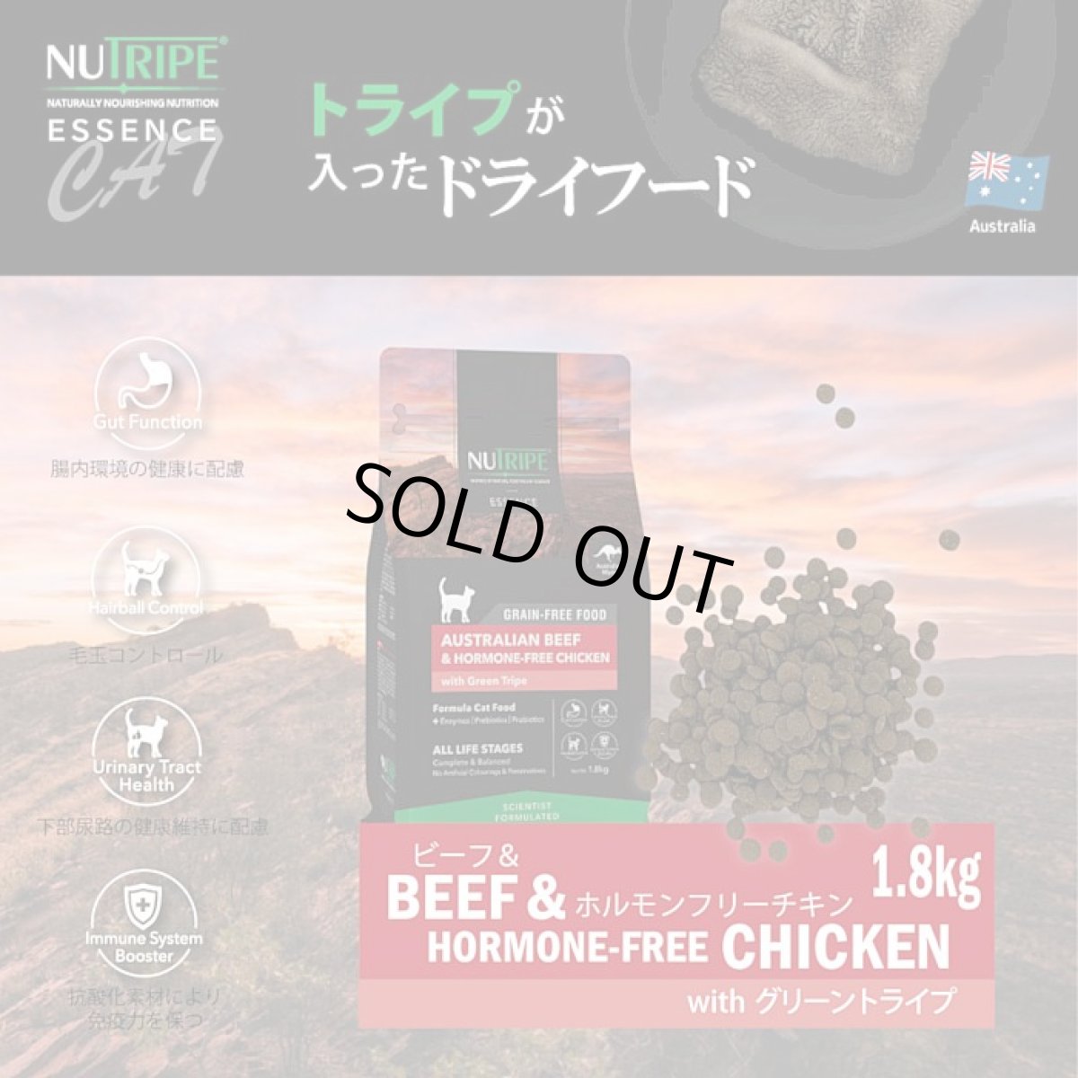 画像2: 訳ありSALE/最短賞味2026.11・ニュートライプ 猫 ビーフ＆チキン 1.8kg全年齢猫用グリーントライプ キャットフードnu35049 (2)