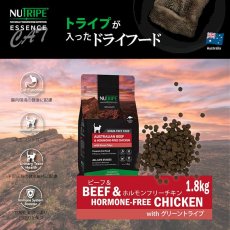 画像2: NEW 最短賞味2026.5・ニュートライプ 猫 ビーフ＆チキン 1.8kg全年齢猫用グリーントライプ キャットフードnu35049 (2)