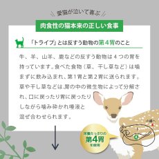 画像6: NEW 最短賞味2026.5・ニュートライプ 猫 ビーフ＆チキン 1.8kg全年齢猫用グリーントライプ キャットフードnu35049 (6)