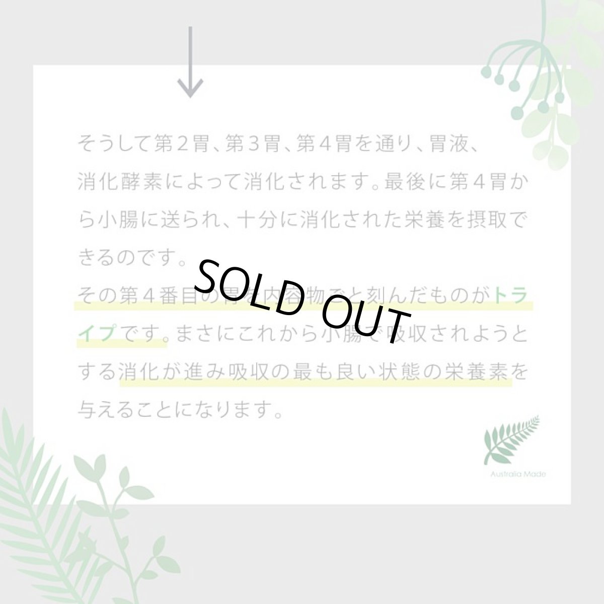 画像7: 訳ありSALE/最短賞味2026.11・ニュートライプ 猫 ビーフ＆チキン 1.8kg全年齢猫用グリーントライプ キャットフードnu35049 (7)
